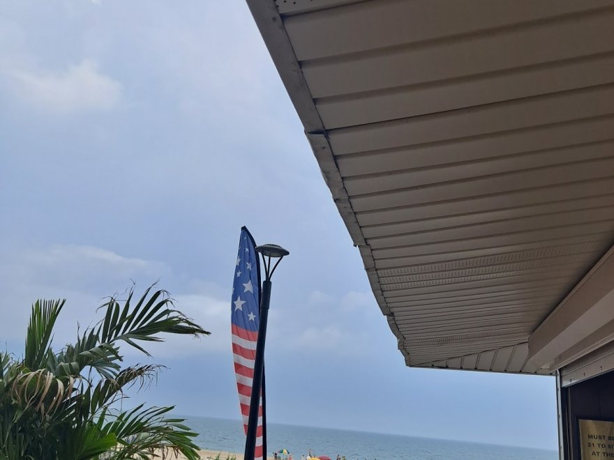 The Jungle Bar & Restaurant