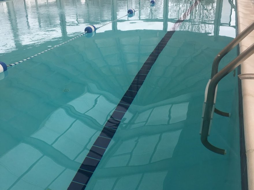 Best Aquatic Management