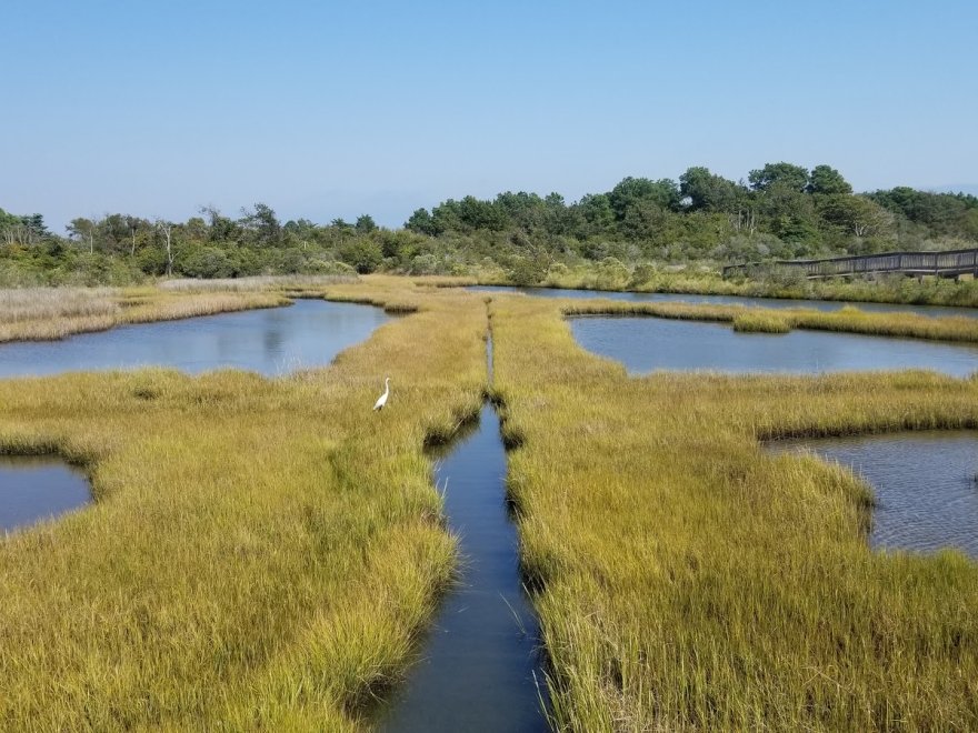 Assateague Island National Seashore - Bayside Drive-in Campground