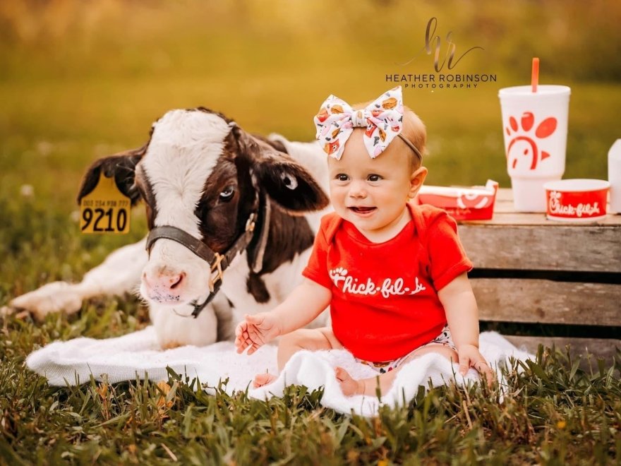 Funny Farm Petting Zoo